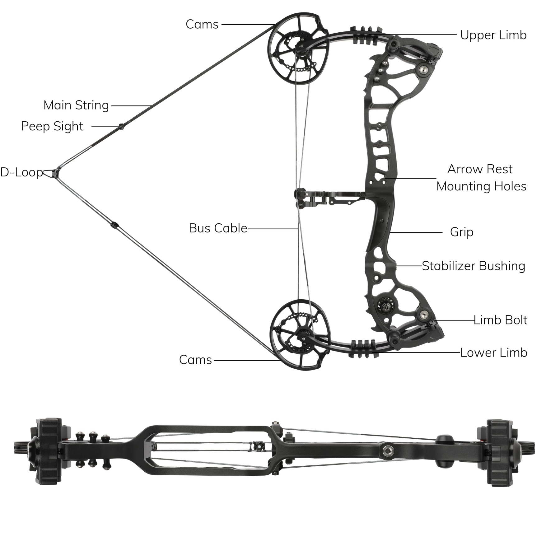 20-70lbs Compound Bow set Shooting Steel Ball Target Archery