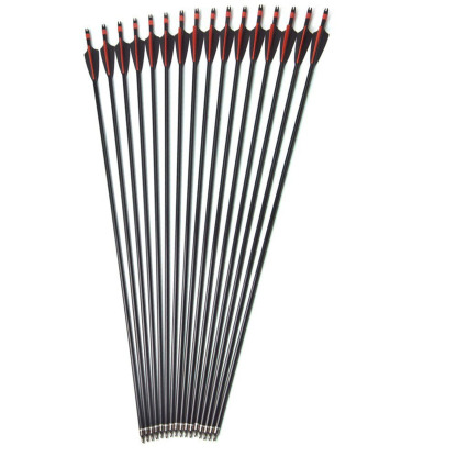 12X Spine400 Carbon Arrows 30" Arrow Shaft Compound Recurve Shooting