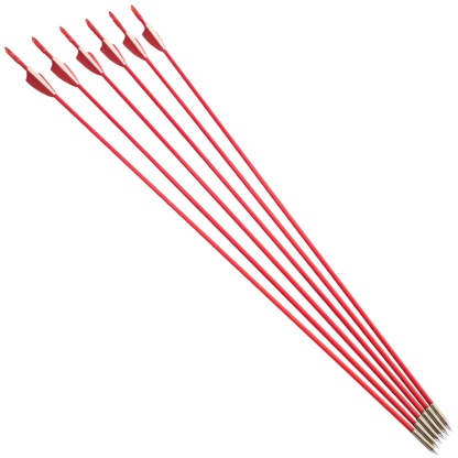 AME ARCHERY Vanes Fiberglass Arrows with Fixed Field Tips (12pcs)