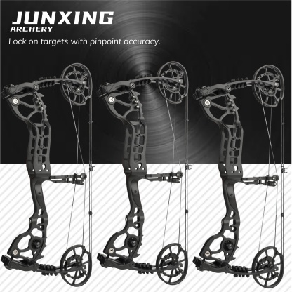 20-70lbs Compound Bow set Shooting Steel Ball Target Archery