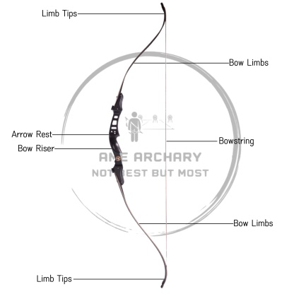 60" Recurve Bow Set Adjustable Draw Weight for Target Practice