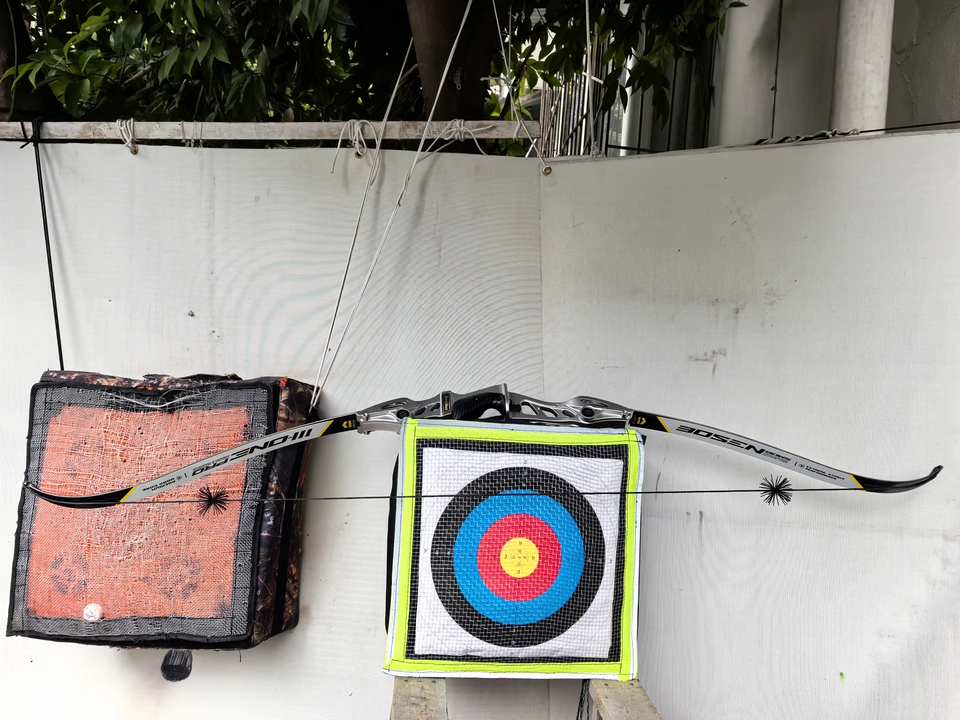 Bosen M1 ILF Recurve Bow Limbs – Fiberglass & Tech Wood Core