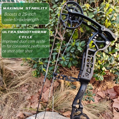 20-70lbs Compound Bow set Shooting Steel Ball Target Archery