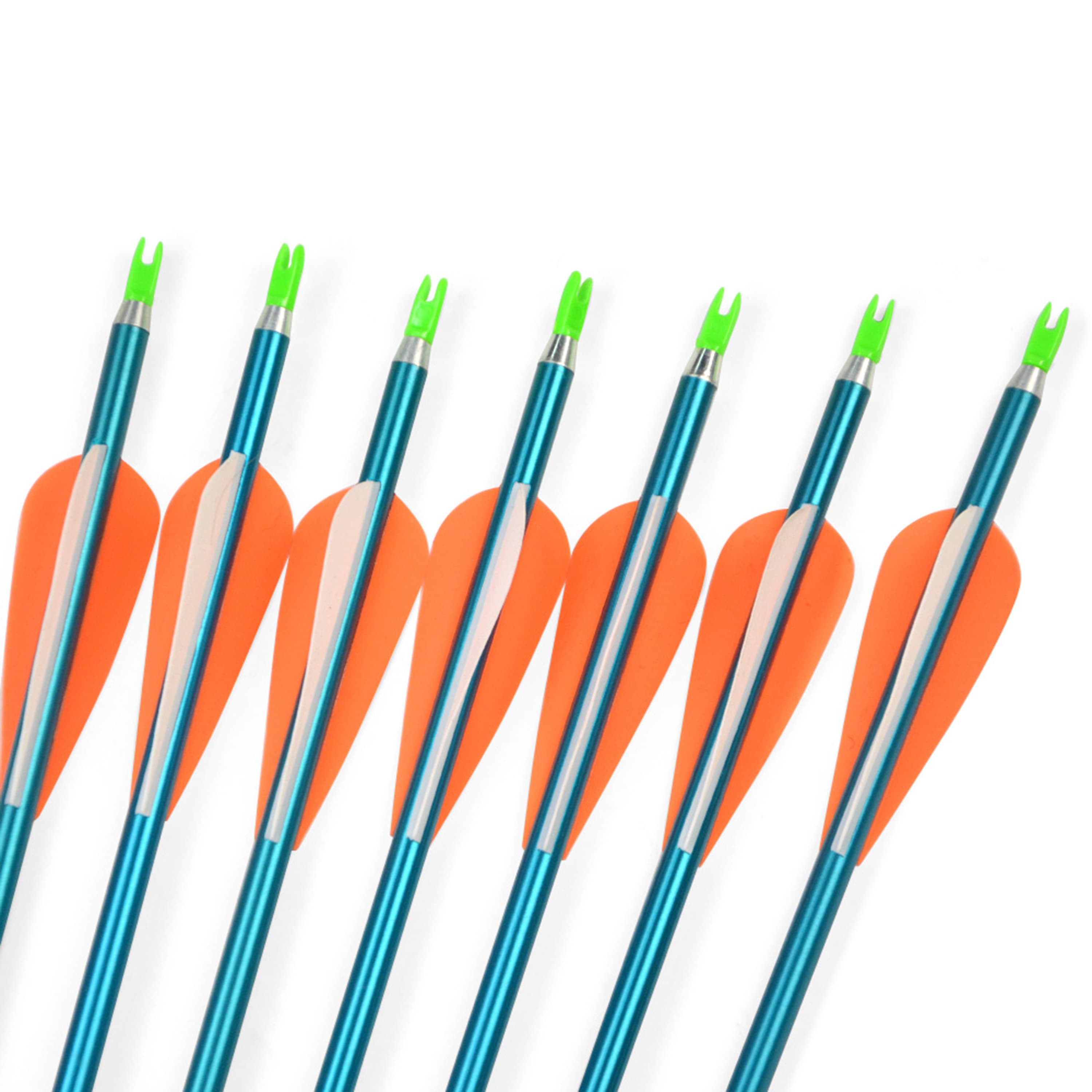 12 pcs Aluminum Arrows Archery Arrows Shooting Target