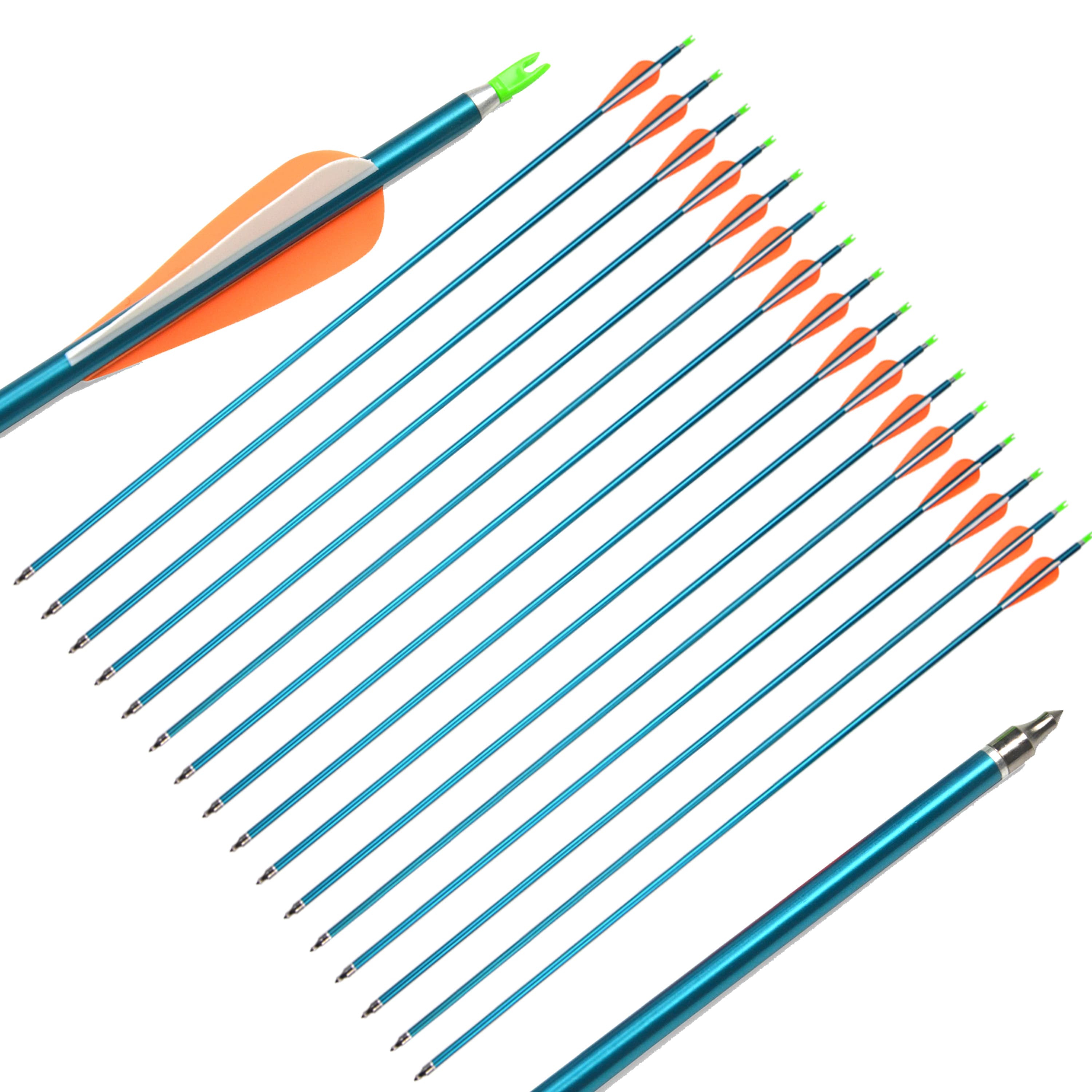 12 pcs Aluminum Arrows Archery Arrows Shooting Target