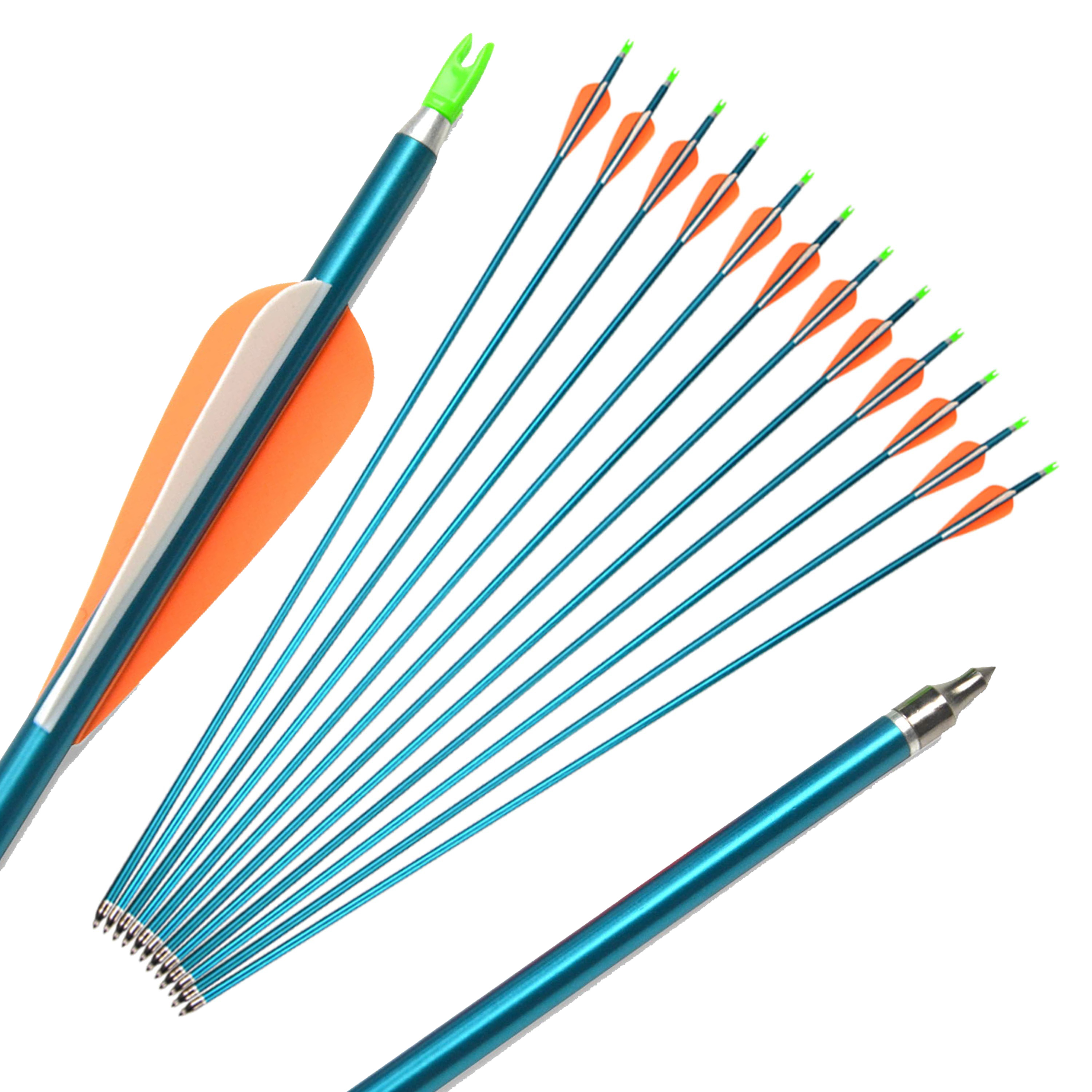 12 pcs Aluminum Arrows Archery Arrows Shooting Target