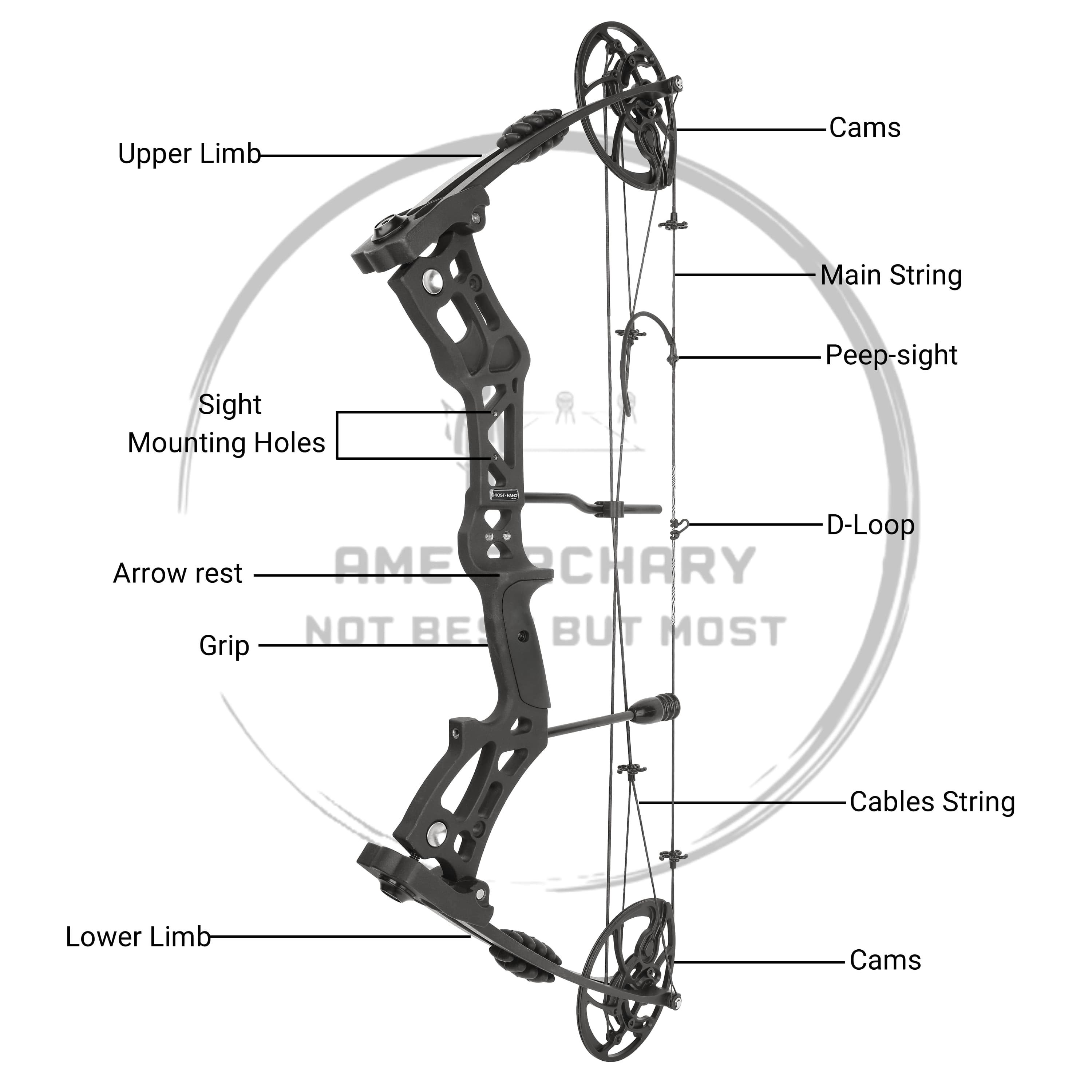 30.5" Compound Bow 30-70lbs Adjustable 75% Let-off Training Hunting Set