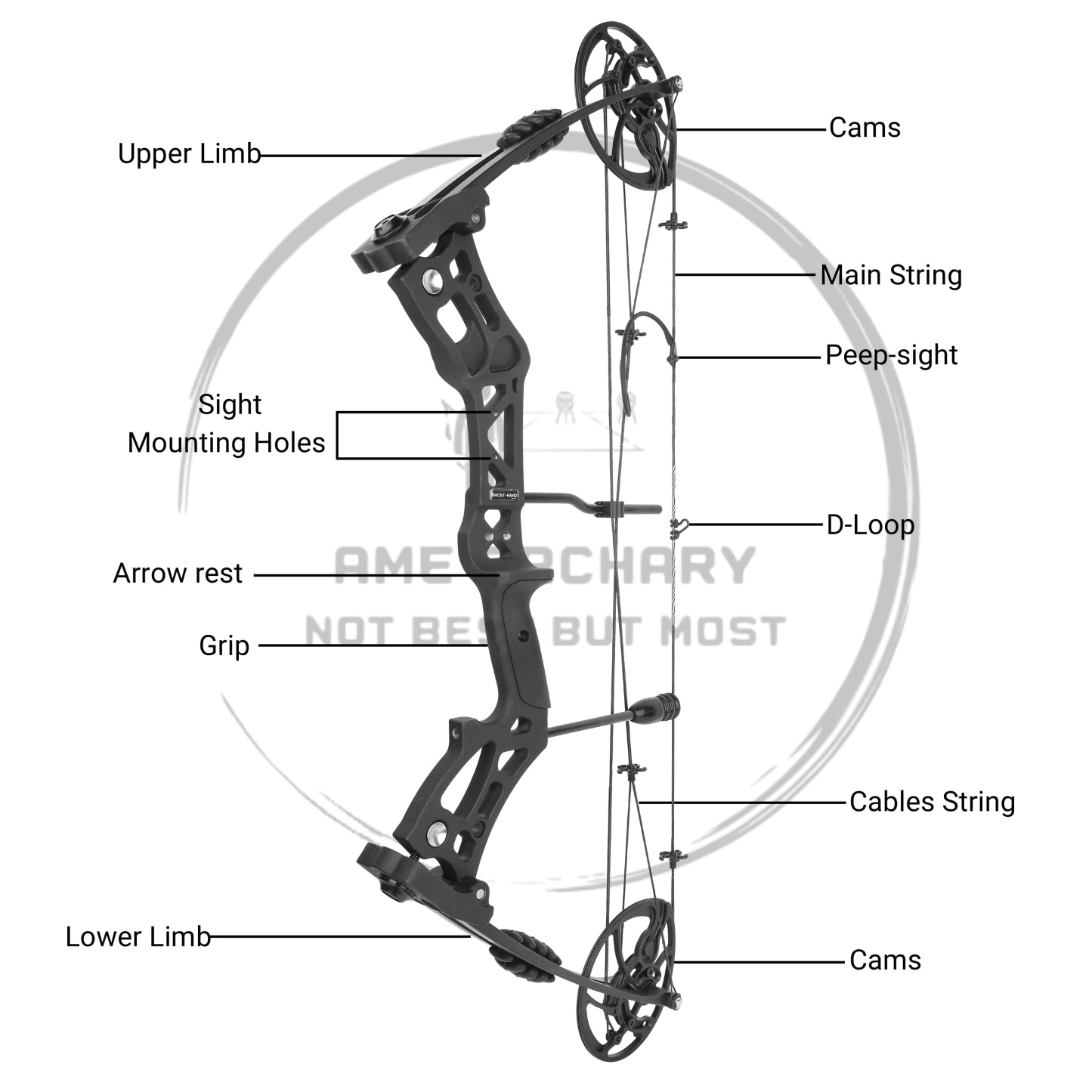 30.5" Compound Bow 30-70lbs Adjustable 75% Let-off Training Hunting Set