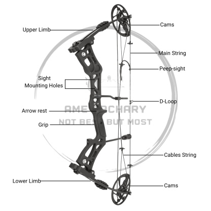 30.5" Compound Bow 30-70lbs Adjustable 75% Let-off Training Hunting Set