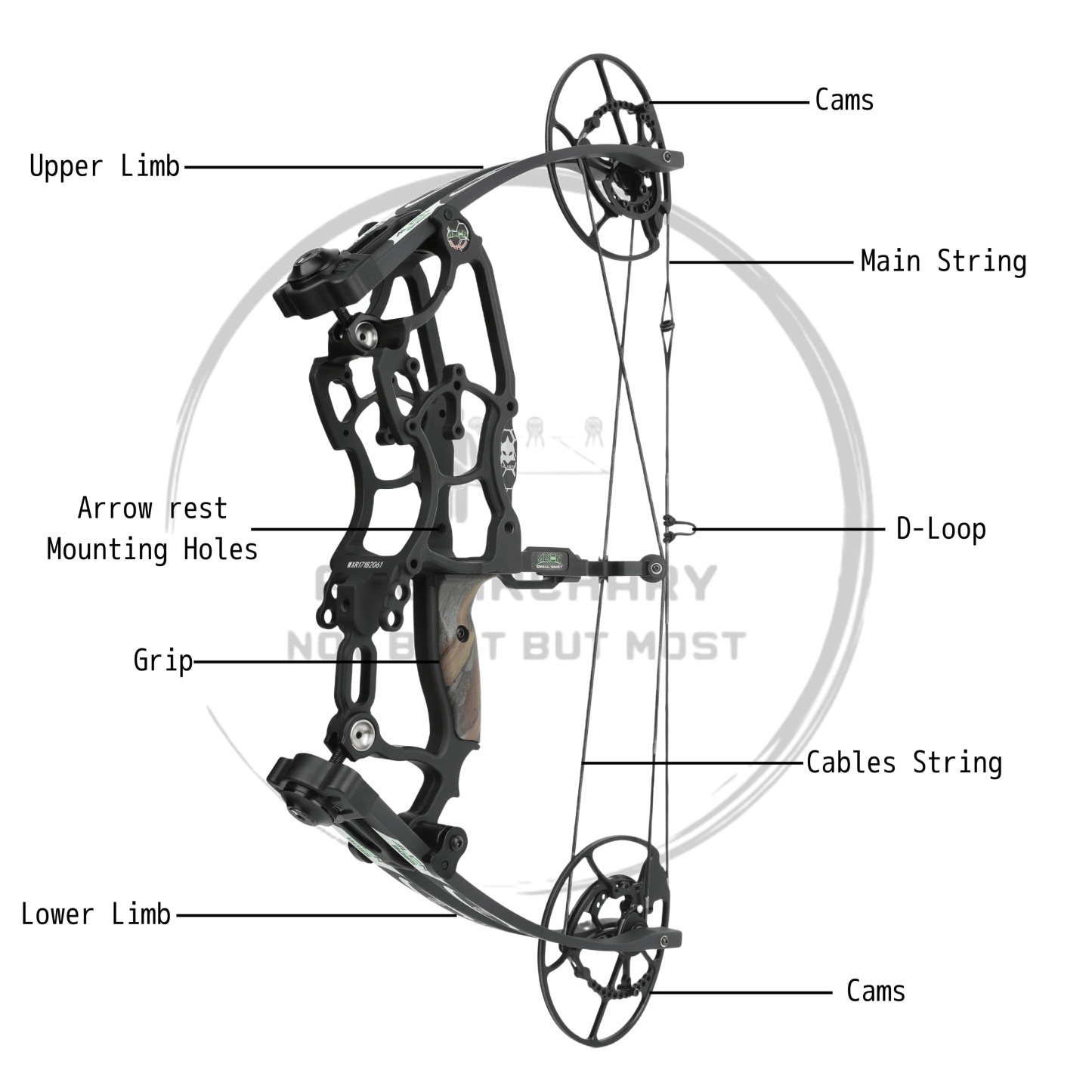 Draw Weight 30-70LBS Dual Use Compound Bow Set Shooting For archery use 