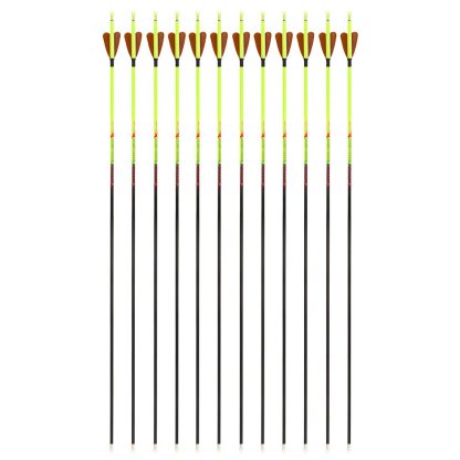AME ARCHERY Heart-Shaped Nature Feather Pure Carbon Yellow Arrows(12pcs)