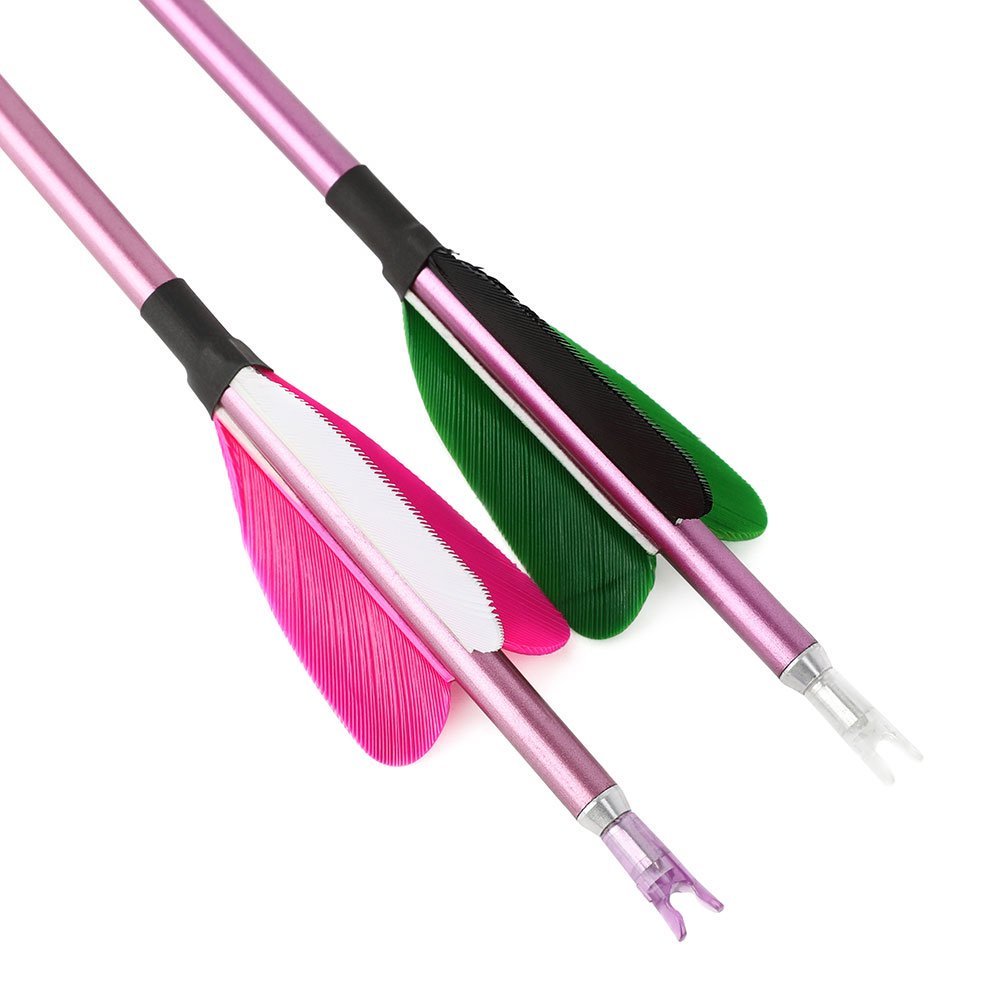 Fire Fox 2-inch Heart-Shaped True Feather Pure Carbon Arrows(12pcs)