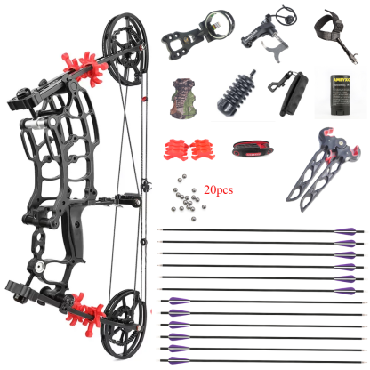 AME 40-65lbs Compound Bow Steel Ball Arrows Dual-use Hunting Fishing Archery RH LH