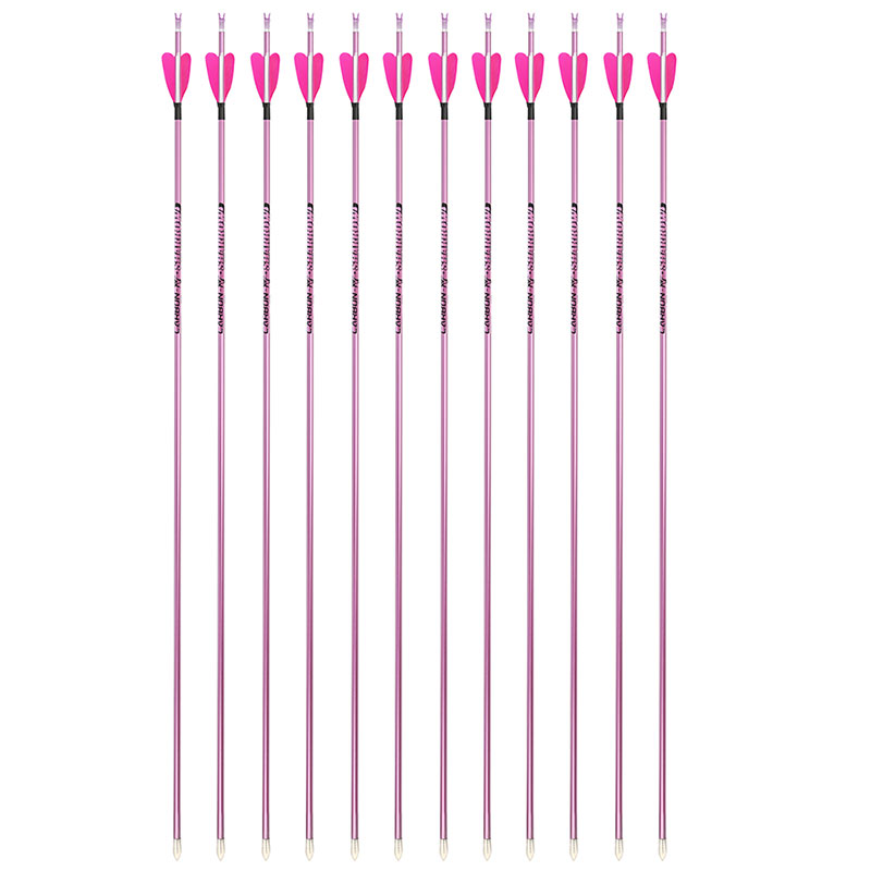 JUNXING H6 Recurve Bow Competition Archery Set Pink Series