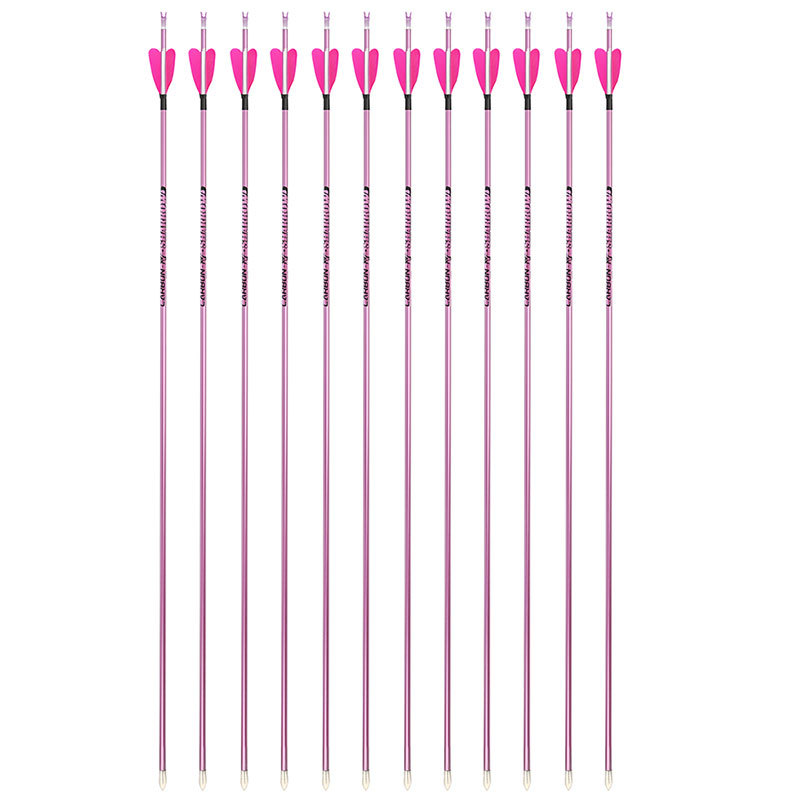 JUNXING H6 Recurve Bow Competition Archery Set Pink Series