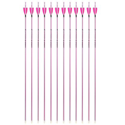 JUNXING H6 Recurve Bow Competition Archery Set Pink Series