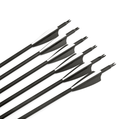 Archery Mixed Carbon Arrows 500 Spine – 12 pcs, 100 Grain, 3" Rubber Vanes