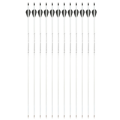 AME ARCHERY WML2 600 Spine 2-Inch 2 Black 1 White Drop Vane Carbon Arrows (12pcs)