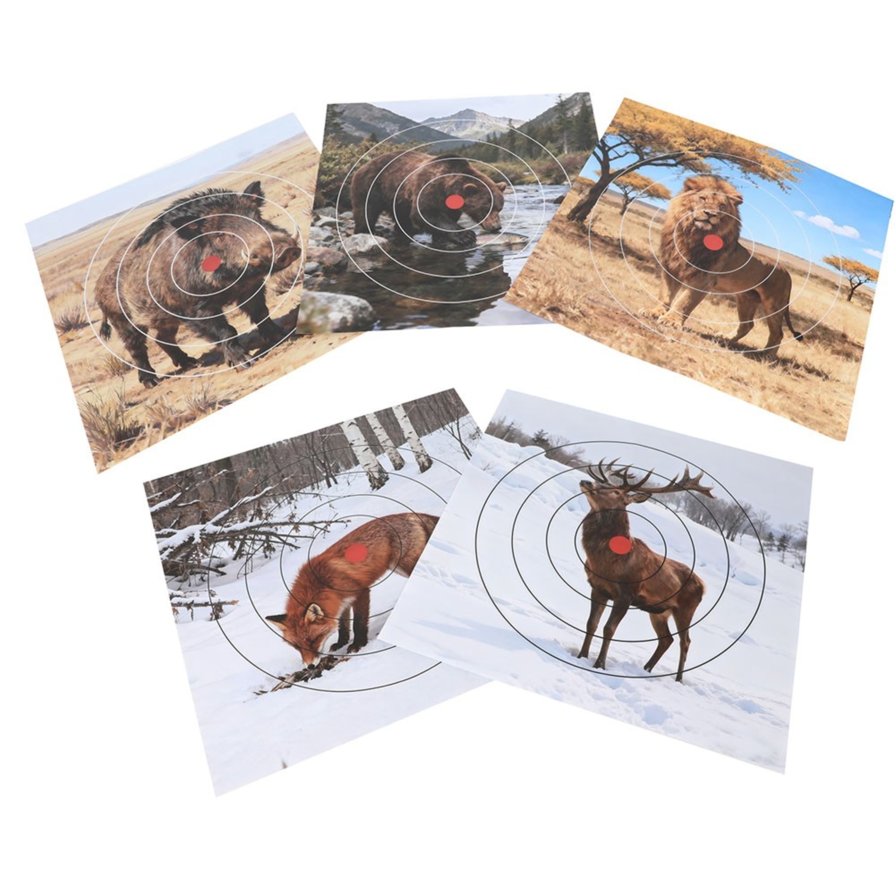 Archery Target Paper Face Animal Arrow Bow Shooting 40x40CM