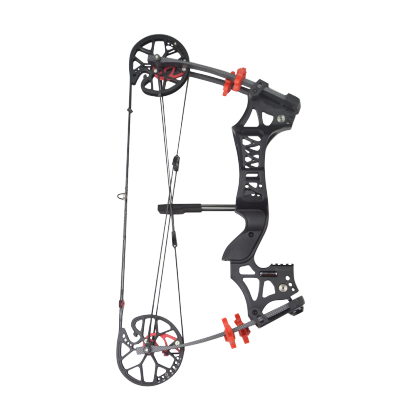 30-60lbs Dual -ues Compound Bow RH/LH Archery Shooting