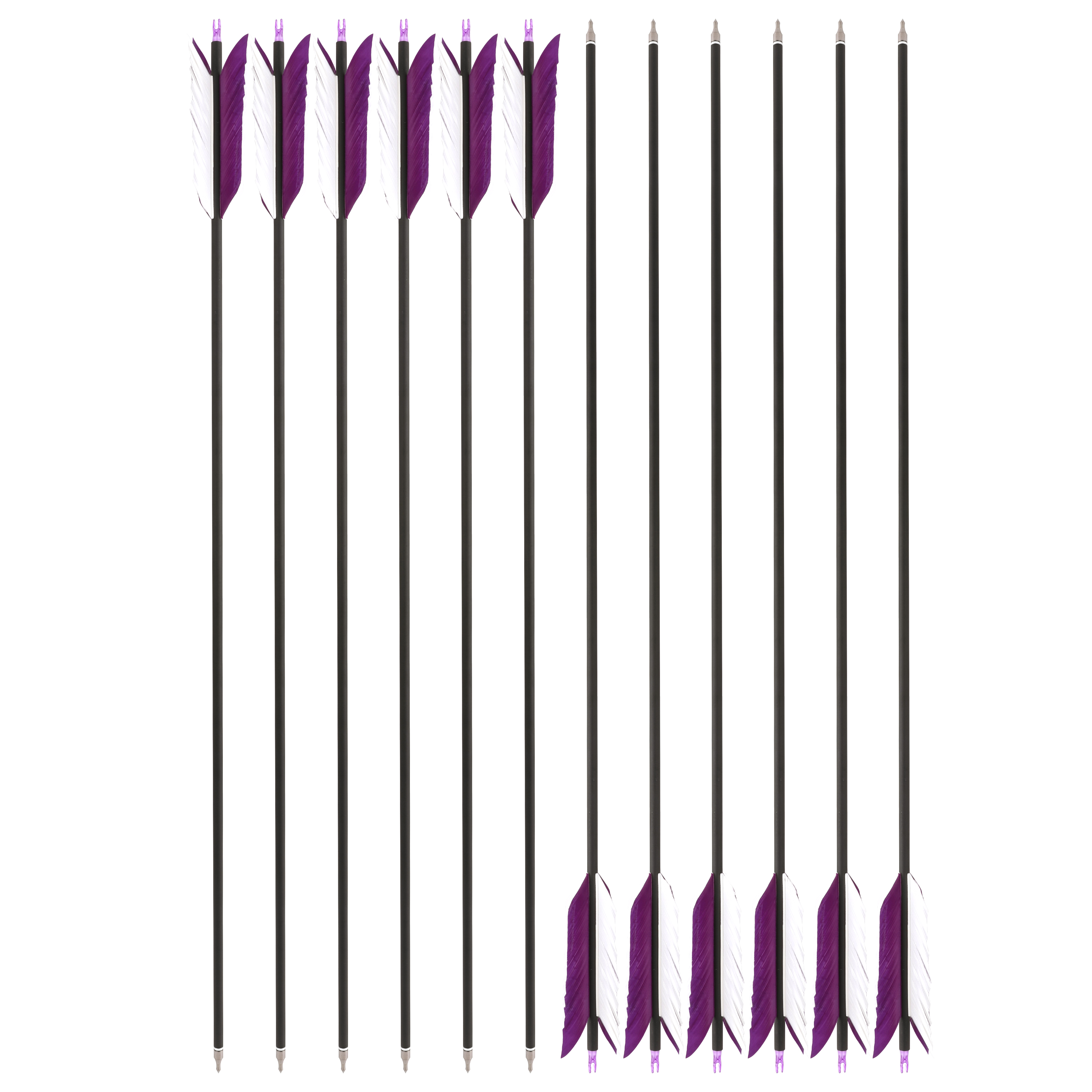 Arrows 31.5" with 4" Feathers, 500 Spine, Carbon Shaft – 100 Grain Field Points