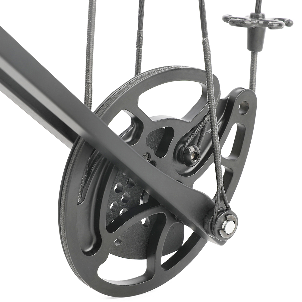 Junxing Dragon  X8 Compound Bow and Arrows Set (20-70lbs Adjustable)