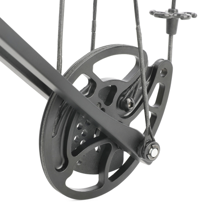 Junxing Dragon  X8 Compound Bow and Arrows Set (20-70lbs Adjustable)