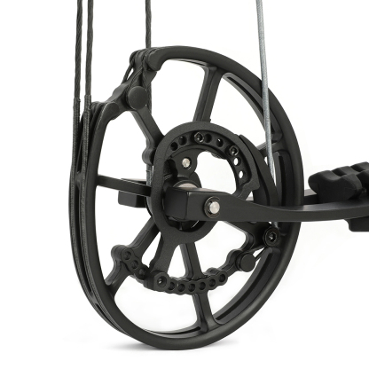 20-70lbs Compound Bow set Shooting Steel Ball Target Archery