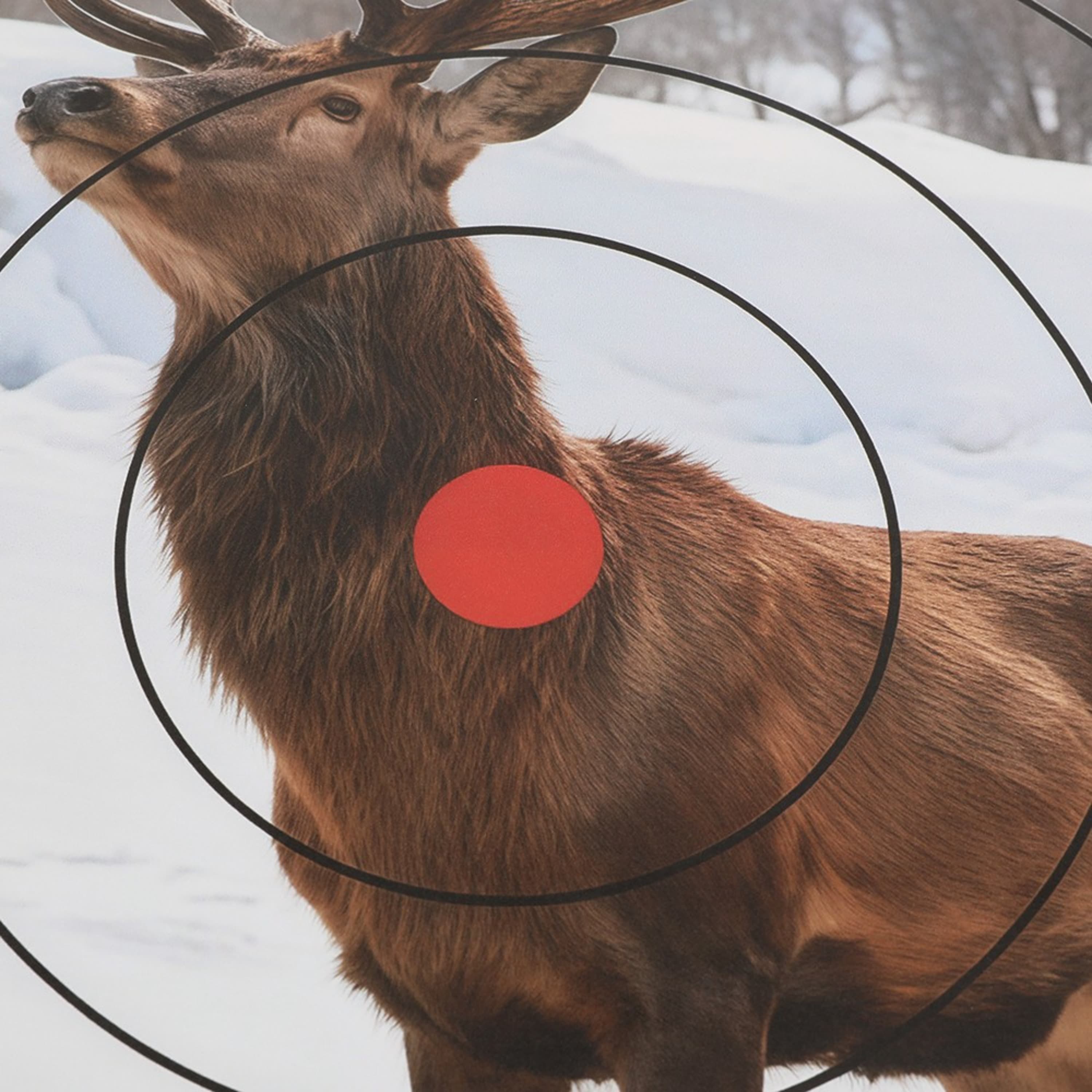 Archery Target Paper Face Animal Arrow Bow Shooting 40x40CM