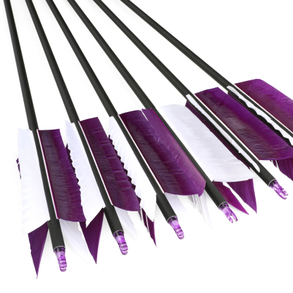 Arrows 31.5" with 4" Feathers, 500 Spine, Carbon Shaft – 100 Grain Field Points