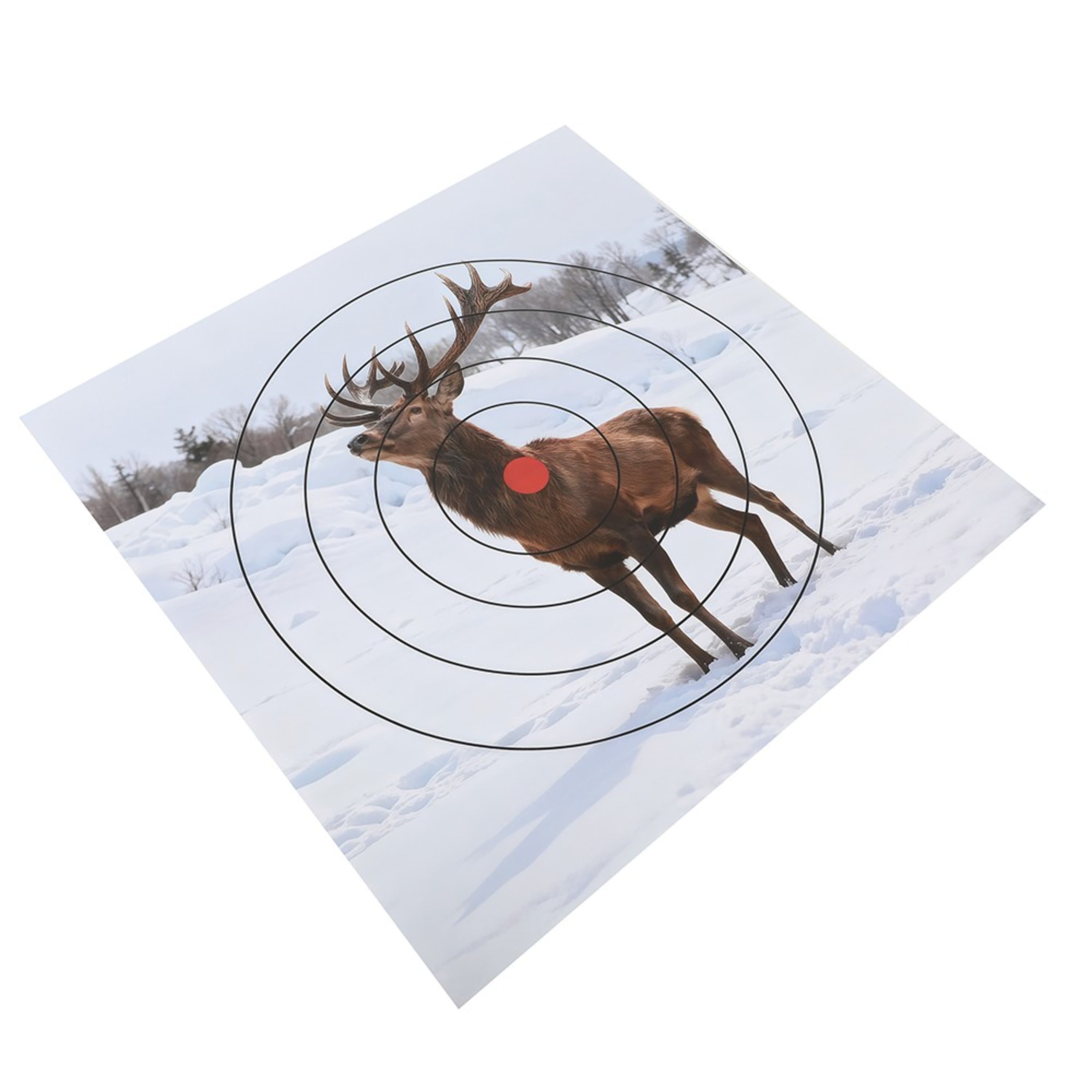 Archery Target Paper Face Animal Arrow Bow Shooting 40x40CM