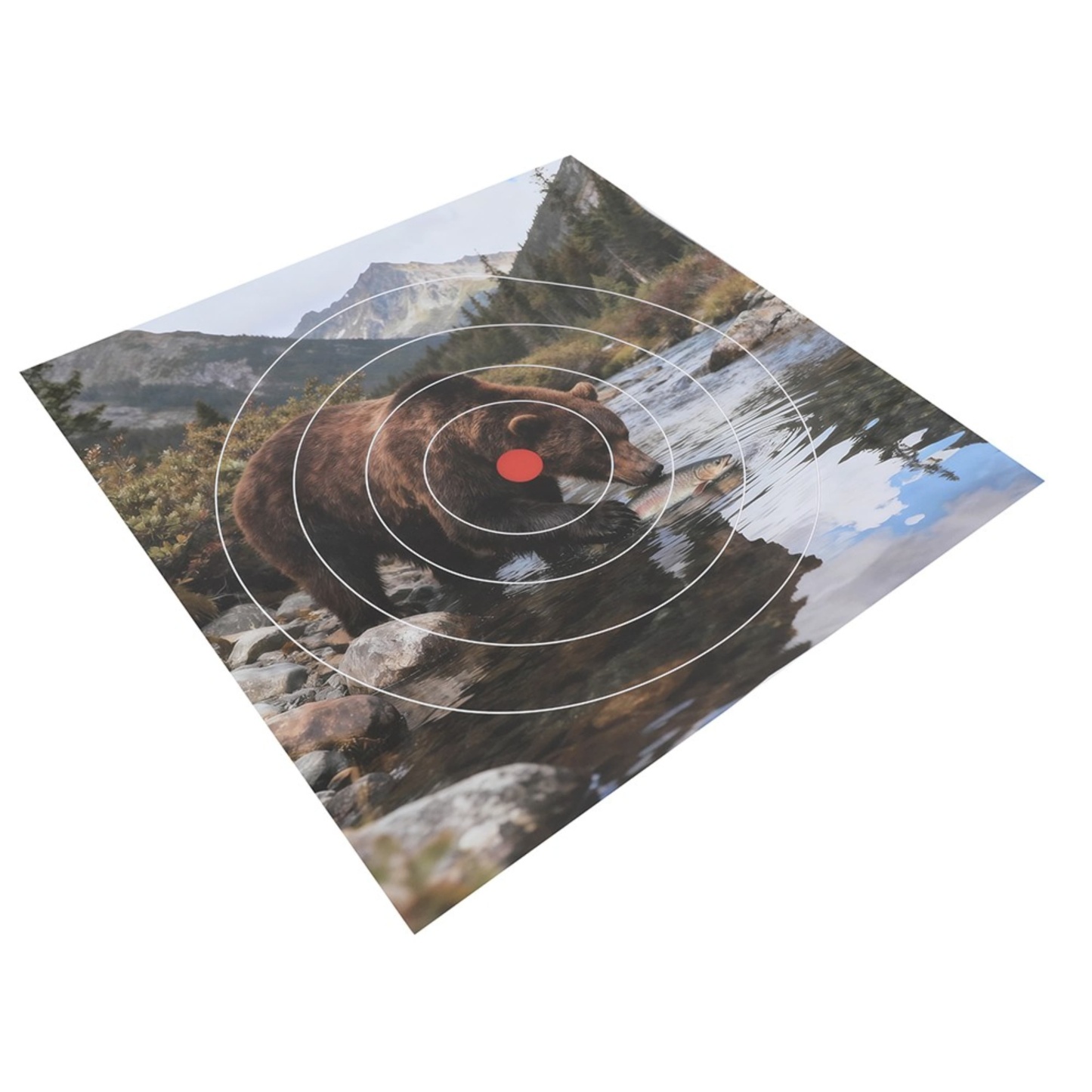 Archery Target Paper Face Animal Arrow Bow Shooting 40x40CM