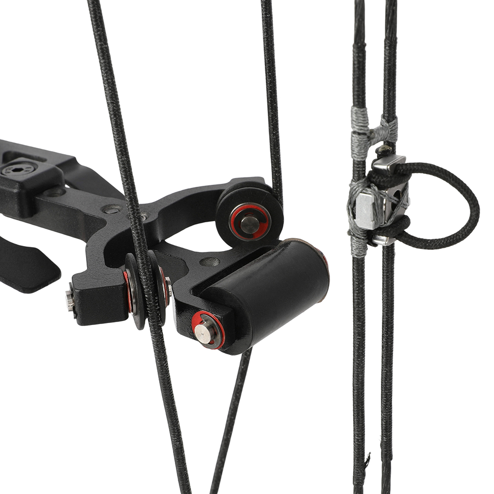 AME ARCHERY Dual-Use Compound Bow — Black (Steel-Ball Kit)
