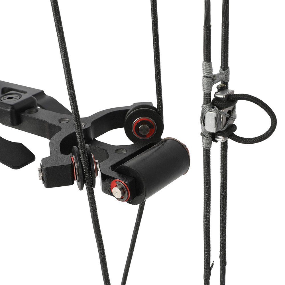 AME ARCHERY Dual-Use Compound Bow — Black (Steel-Ball Kit)