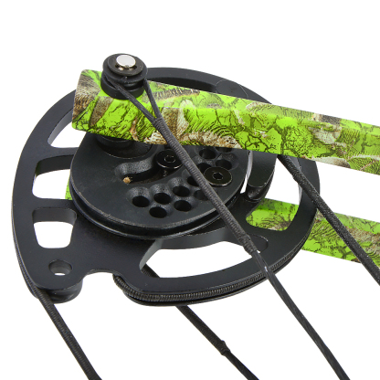Junxing Archery M131 Froest Compound Bow & Arrow Set 
