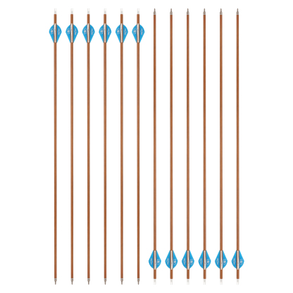 AME 30" Mixed Carbon Arrows, 12 pcs, 100 Grain, Teardrop Fletching