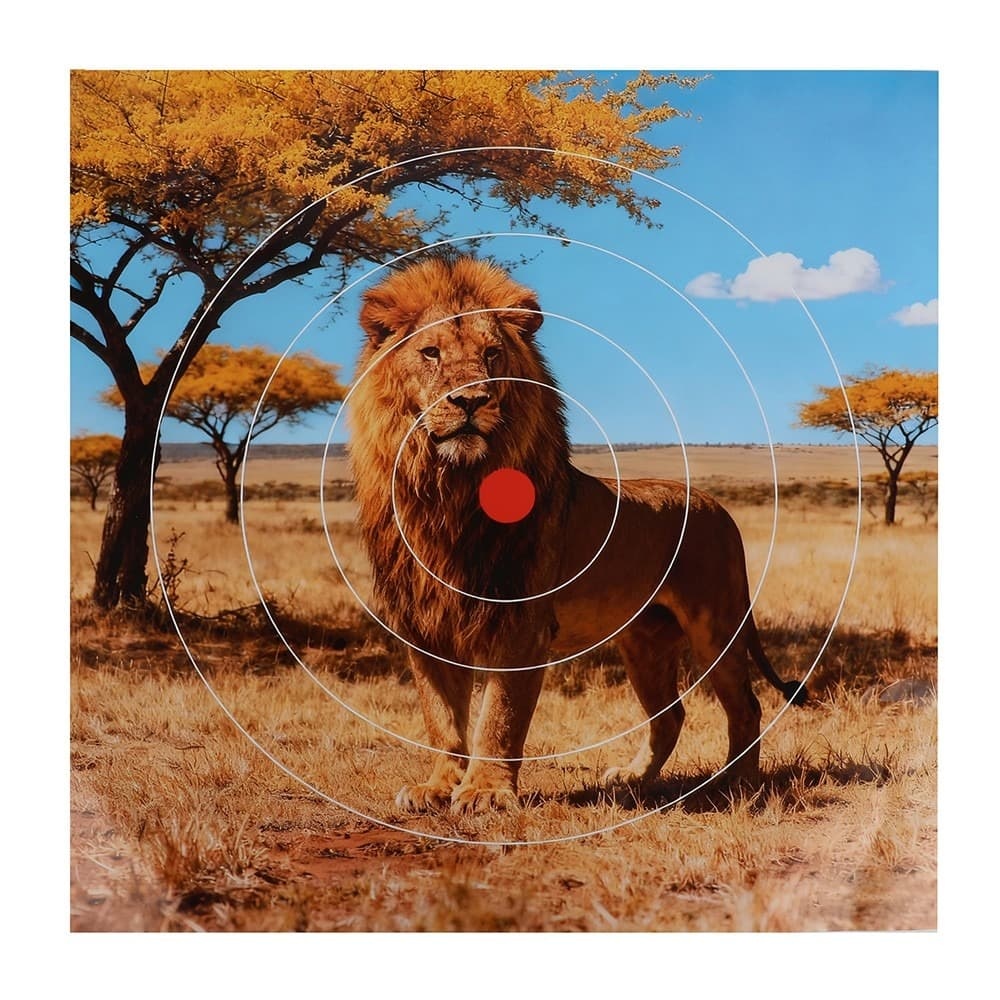 Archery Target Paper Face Animal Arrow Bow Shooting 40x40CM