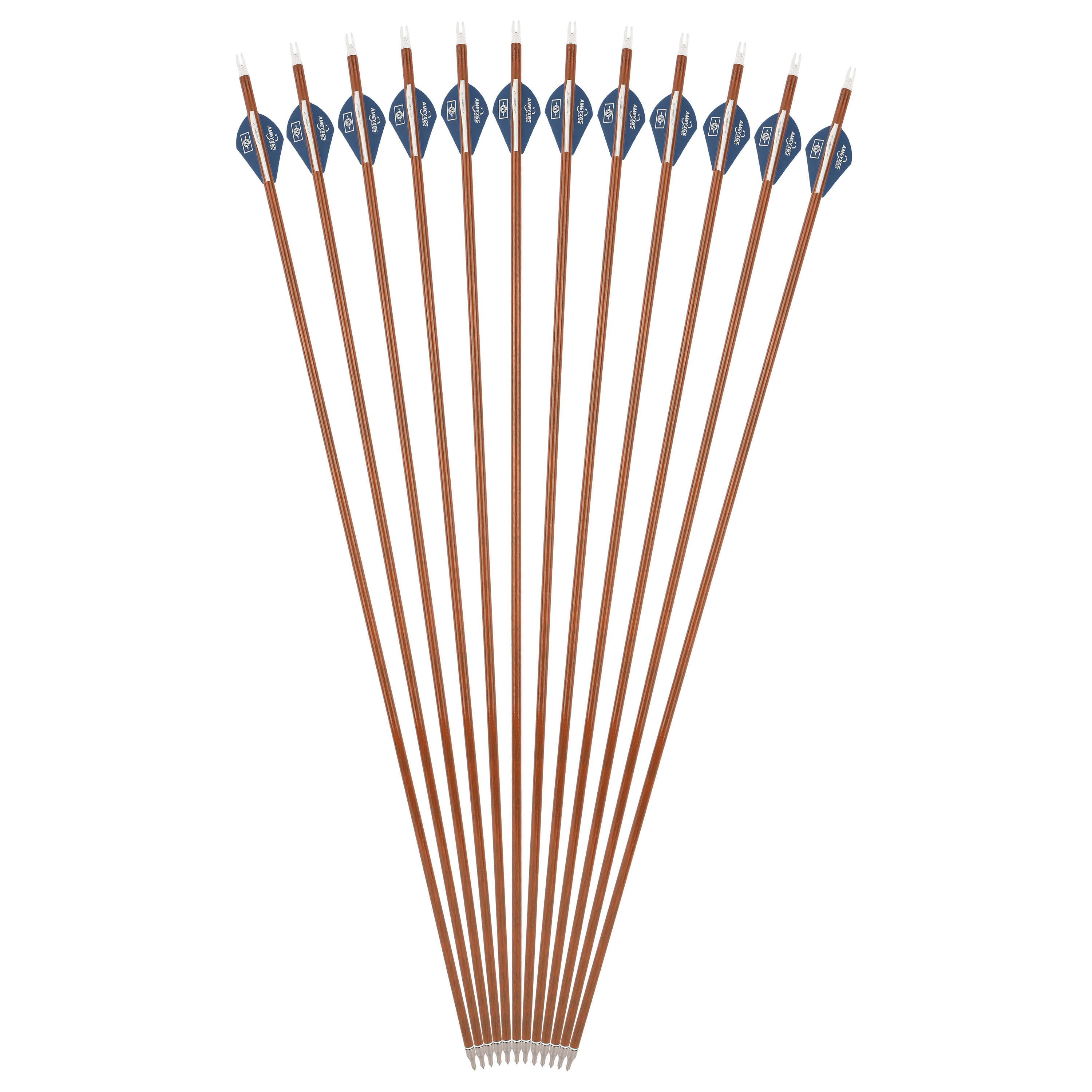 AME 30" Mixed Carbon Arrows, 12 pcs, 100 Grain, Teardrop Fletching