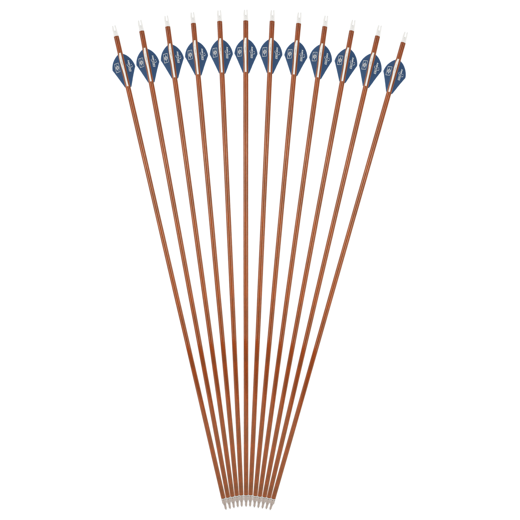AME 30" Mixed Carbon Arrows, 12 pcs, 100 Grain, Teardrop Fletching