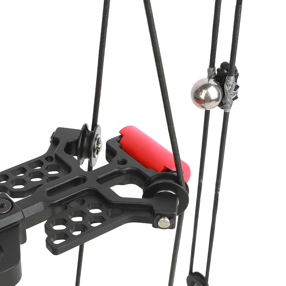  Venom Dual-Use Carbon Compound Bow Archery & Steel Ball Set