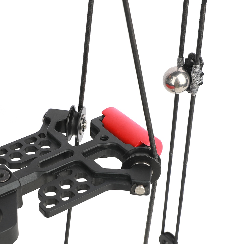  Venom Dual-Use Carbon Compound Bow Archery & Steel Ball Set