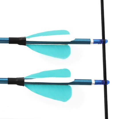 AME ARCHERY 1.75inch Fox 2" Heart-Shaped Feather Pure Carbon Arrows(12pcs)