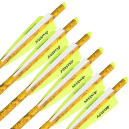 12X Archery Carbon Bolts Arrows 16" 18" Vanes Bow Hunting Shoot