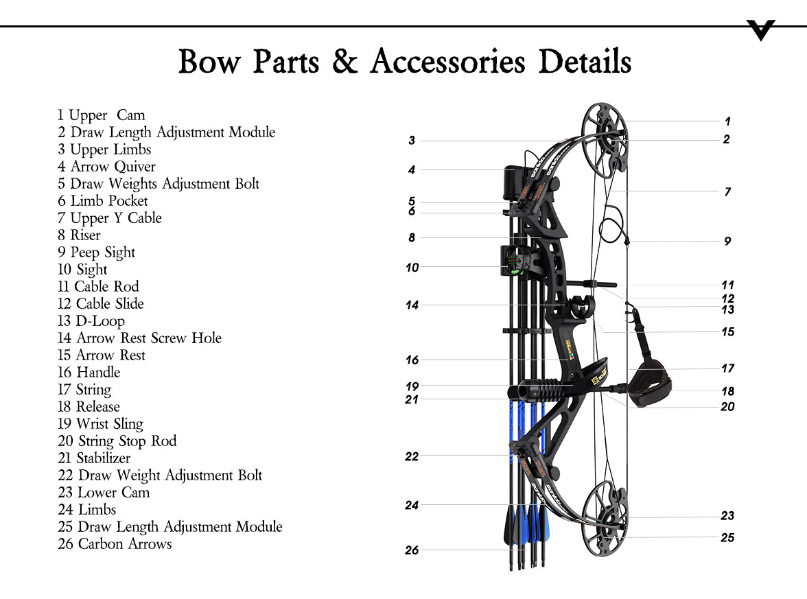 SANLIDA ARCHERY Dragon X7 Intermediate Hunting Compound Bow Kit