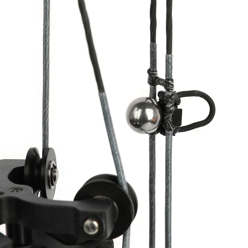 20-70lbs Compound Bow set Shooting Steel Ball Target Archery