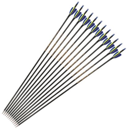 AME ARCHERY 2-inch Heart-Shaped True Feather Pure Carbon Arrows(12PCS)