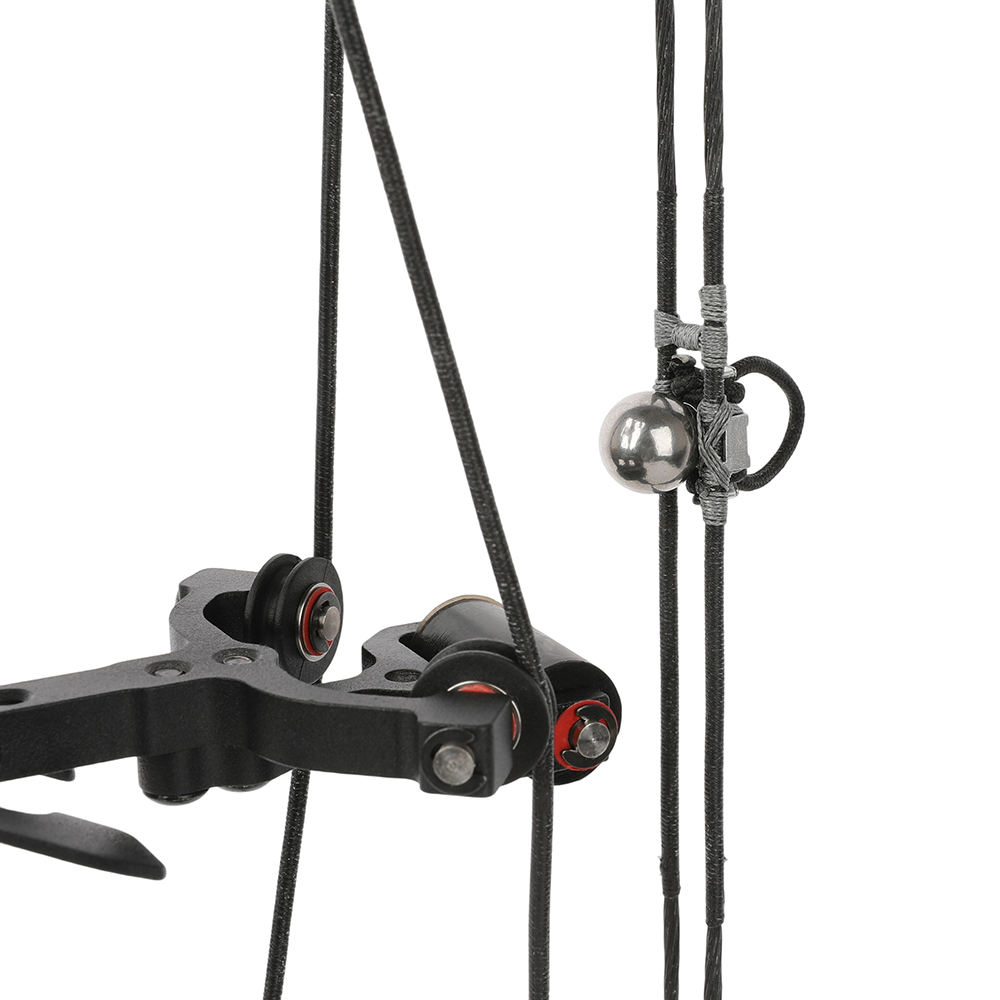 AME ARCHERY Dual-Use Compound Bow — Black (Steel-Ball Kit)