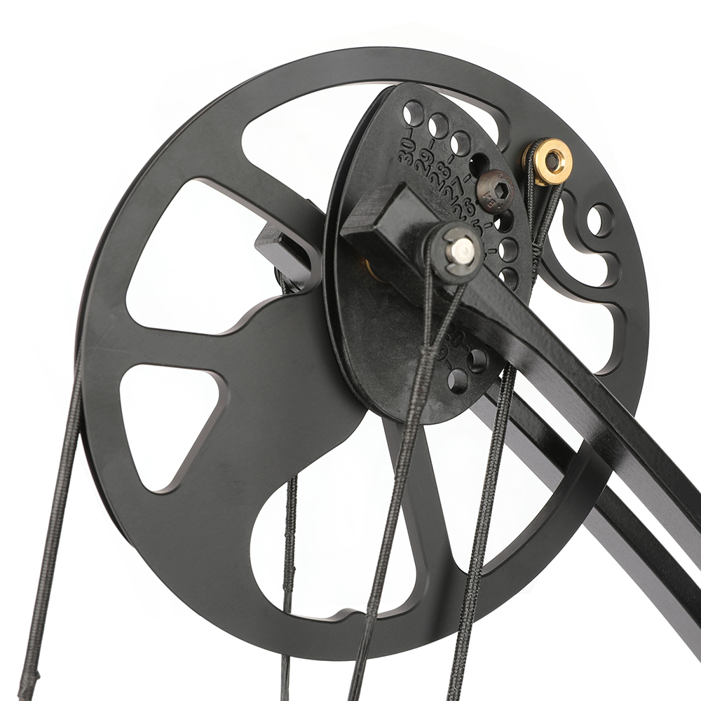 38-70lbs Compound Bow Set Adult Shooting Target Archery