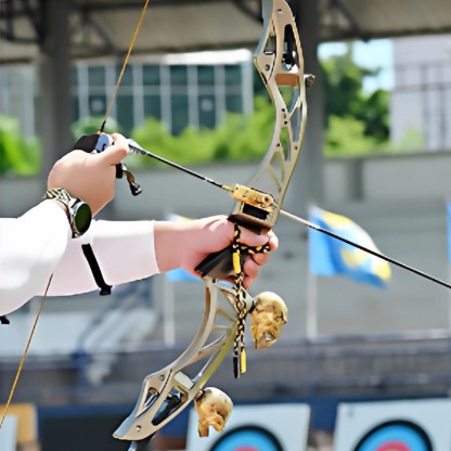 NIKA ET-25 Proceed 25inch ILF Recurve Riser