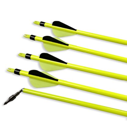 Clearance Sale Spine 500 Carbon Fiber Arrows (12pcs)